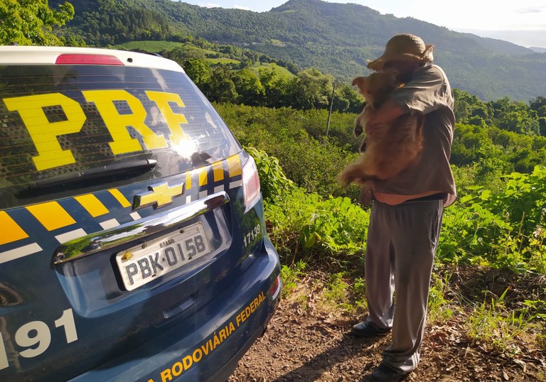 Tutor do animal se emocionou a revê-la na viatura da PRF