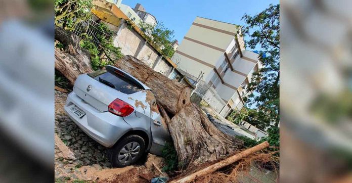Chuva em BH: Gol é destruído na região Oeste da capital
