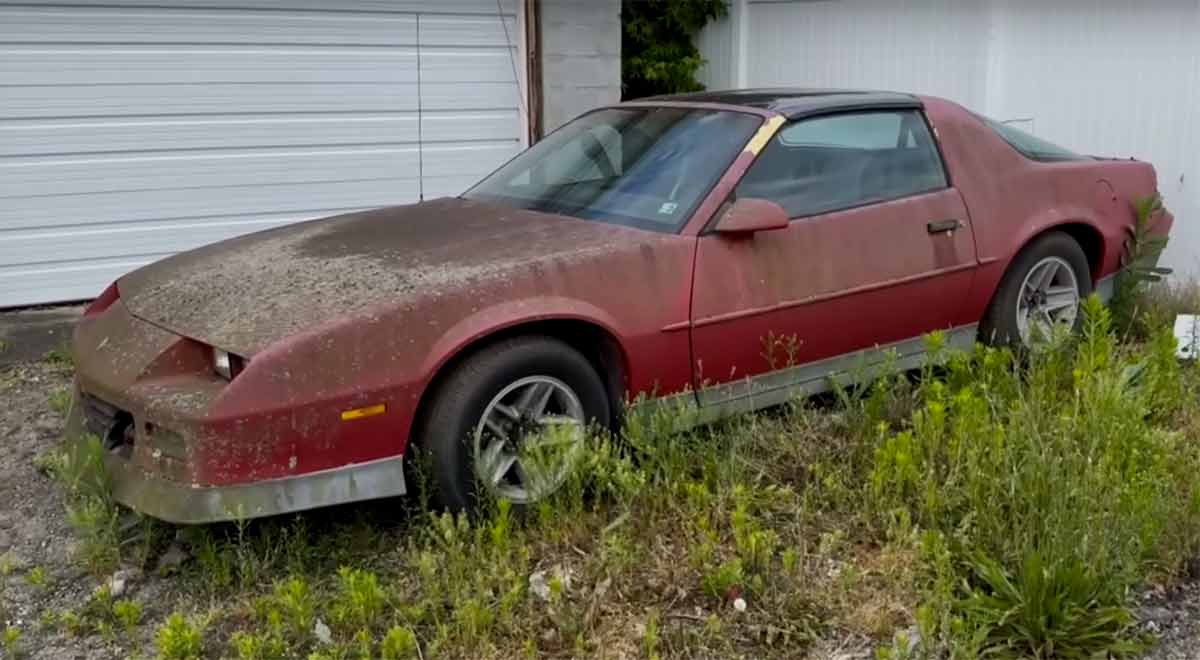 Chevrolet Camaro é resgatado após 12 anos esquecido num celeiro